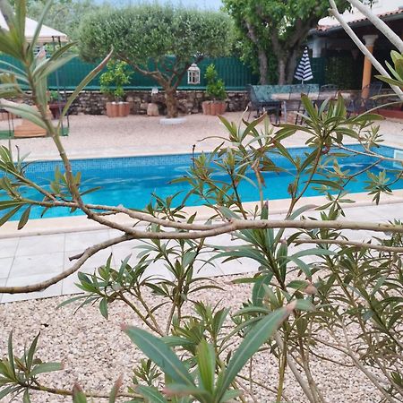 Villa Lucky Brtonigla Buitenkant foto