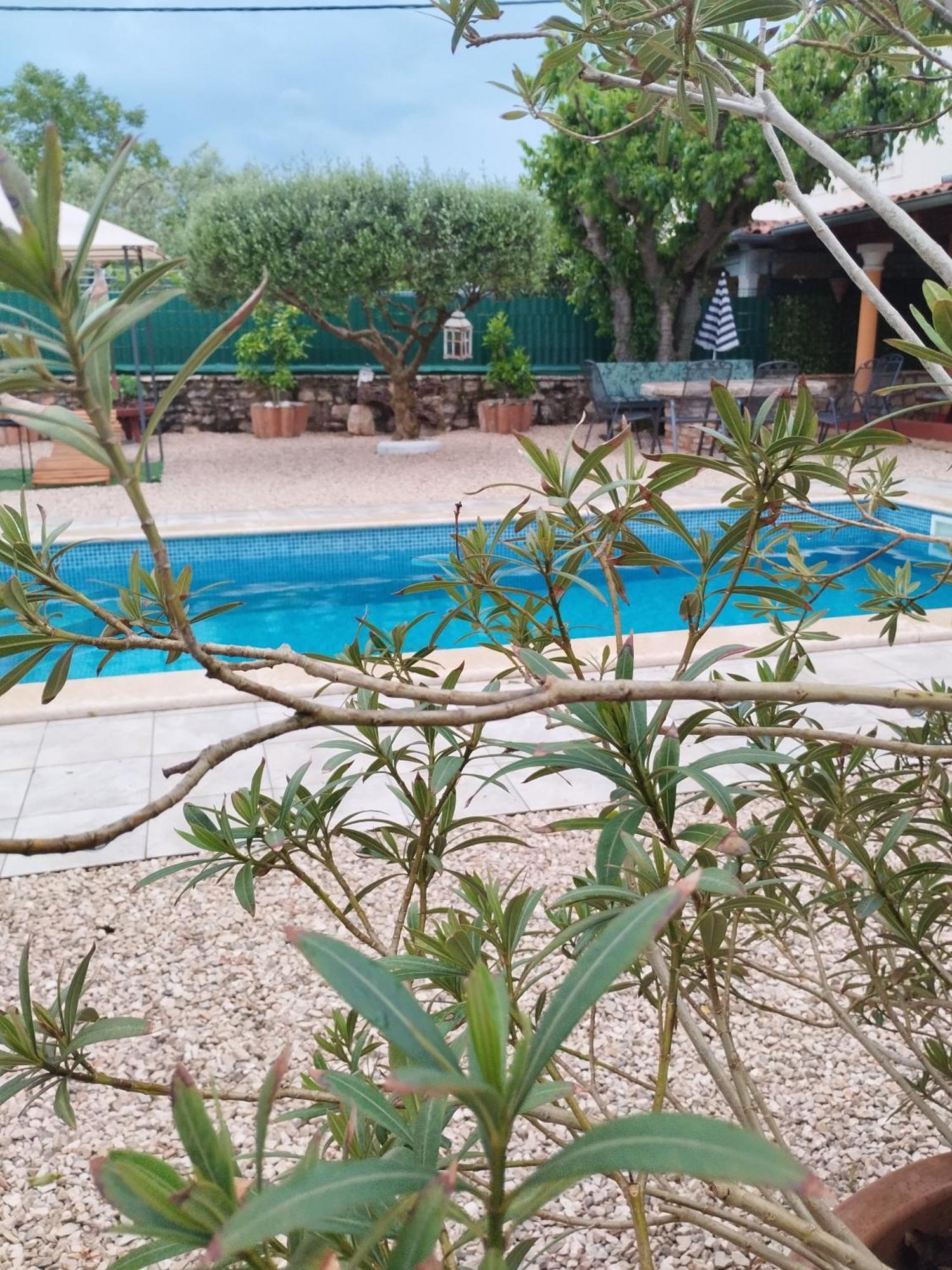 Villa Lucky Brtonigla Buitenkant foto